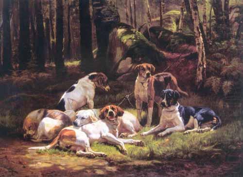 Dogs, Carlo Saraceni